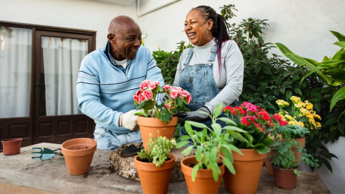 An older couple laughing while planting various flowers.